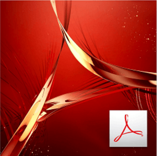  Adobe Acrobat XI Pro 11.0.21