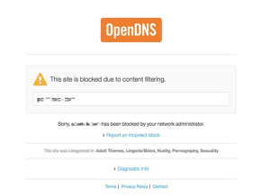 نجاح تفعيل خدمة OpenDNS لحجب المواقع من الراوتر